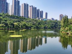 -重庆彩云湖湿地公园