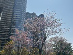 -洲头咀公园