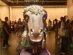 -广西壮族自治区博物馆