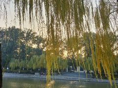-中国农业博物馆