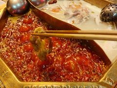 -蜀九香火锅(九眼桥店)