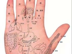 -张钰强中医正骨推拿连锁(唐家人才公寓店)