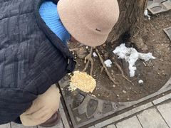 -绿茶餐厅(雁塔大悦城店)