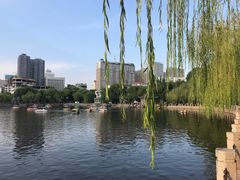 -文瀛公园