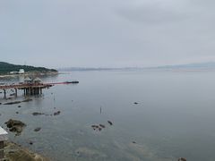 -养马岛旅游度假区
