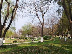 -堤角公园