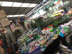 -曲阳花鸟市场(曲阳路店)