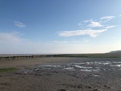 -南汇嘴观海公园