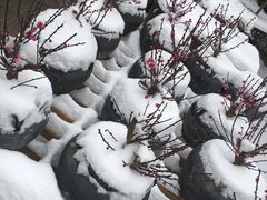 -瓦库茶馆17号(海汇港店)