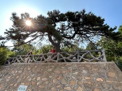 -北京西山国家森林公园