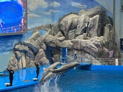 -福州罗源湾海洋世界旅游区