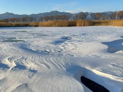 -野鸭湖国家湿地公园