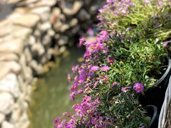 -荒度咖啡(北九水店)