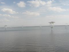-碧海金沙