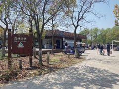 -上海海湾国家森林公园