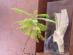 -城北食府(枫林店)