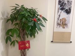 -悦享采耳·洗头头疗·推拿SPA(海沧万科旗舰店)
