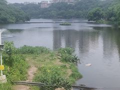 -重庆彩云湖湿地公园