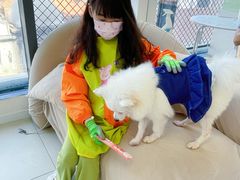 -怪兽屋·羊驼·猫咖·狗咖(俊华广场店)