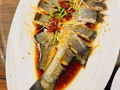 -今鲜源大酒店·中华餐饮名店(新湛路店)