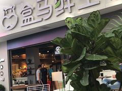 -盒马渔市餐厅
