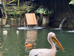 -海南槟榔谷黎苗文化旅游区