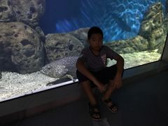 -福州罗源湾海洋世界旅游区