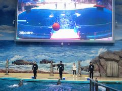 -福州罗源湾海洋世界旅游区