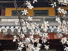 -龙华寺