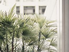 -UNIUNI(凯瑟琳广场店)