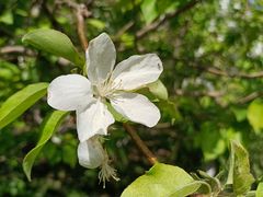 -海棠花溪(元大都城垣遗址公园)