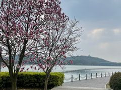 -上海月湖雕塑公园