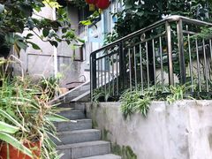 -陈有良尖椒鸡(江津总店)