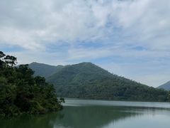 -田心森林公园