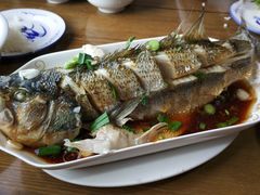 -沈记菜馆(酒仙桥路店)