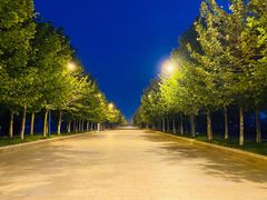 -南开大学滨海学院