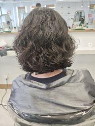 -镁连社·美联社