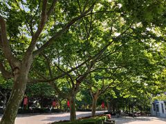 -东华大学(松江校区)