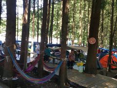 -武陵山森林公园