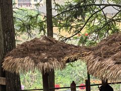 -初溪土楼群
