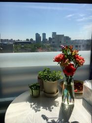 -酉嘉瑜伽YO+YOGA