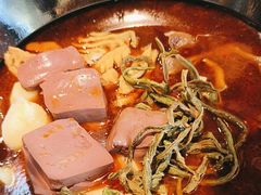 -全家福东北菜(联谊花园宜康苑店)
