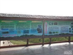 -北海金海湾红树林生态旅游区