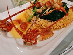 澳洲龙虾-申粤轩酒楼·三十年粤菜经典(丁香花园店)