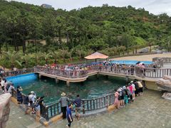 -广东惠东海龟国家级自然保护区