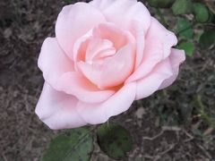 -南通洲际绿博园