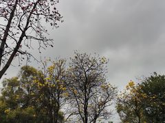 -广州市白云山风景名胜区