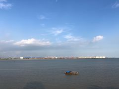 -大湾区中央湿地公园