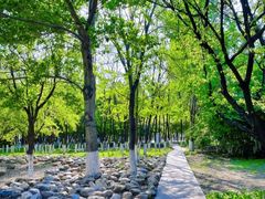 -神光山国家森林公园