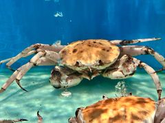 -许家菜.艺创菜(仁和新城店)